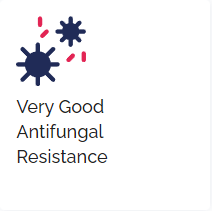 Antifungal Resistance