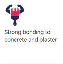 strong bonding to concrete and plaster
